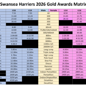 Club Records Rankings and Gold Awards